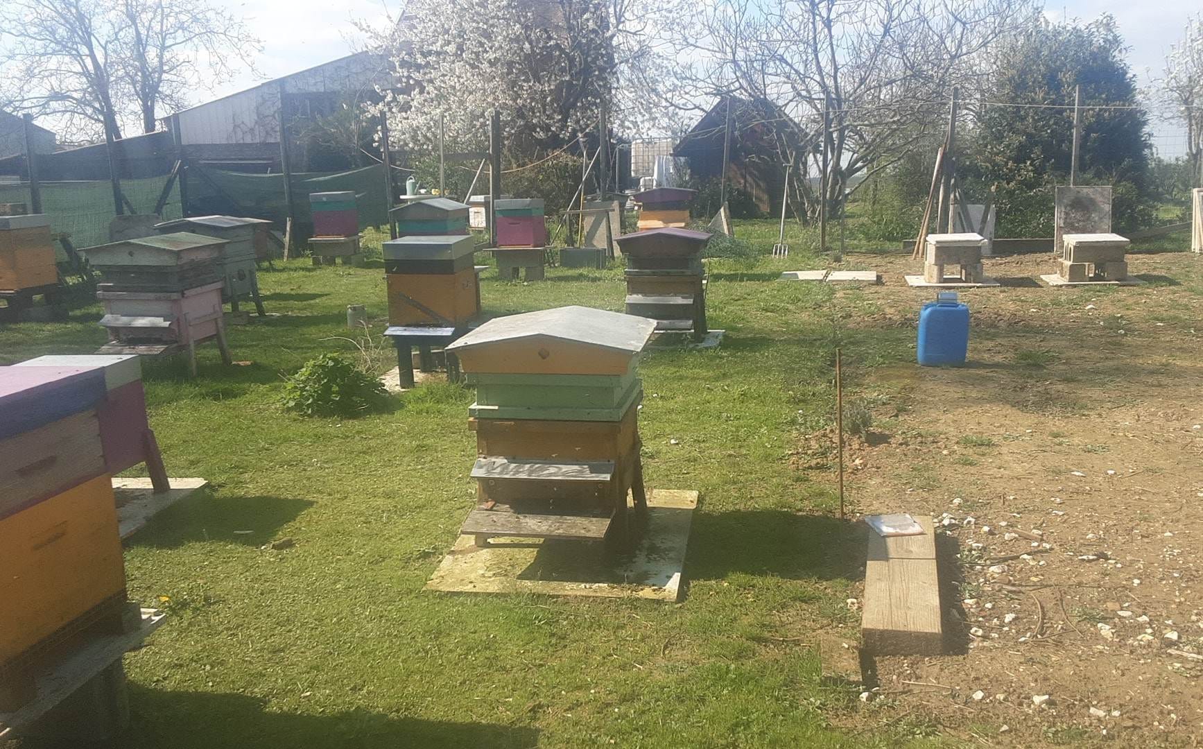 Jean-Paul Reignault apiculteur à saint-Mards-en-Othe