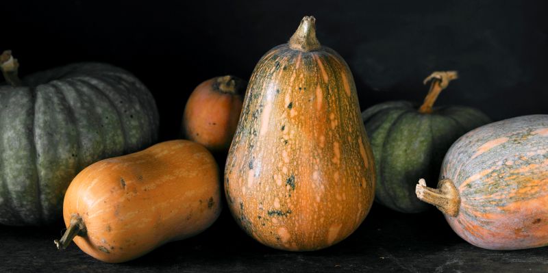 Le produit star, La Courge, reine des tables d’hiver