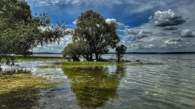 La Forêt d’Orient comme vous ne l’avez jamais vue en randonnée