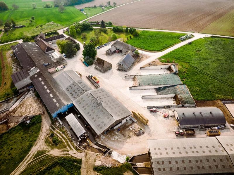 L&rsquo;or blanc d&rsquo;Étourvy : Rencontre avec le dernier carré du Chaource Bio